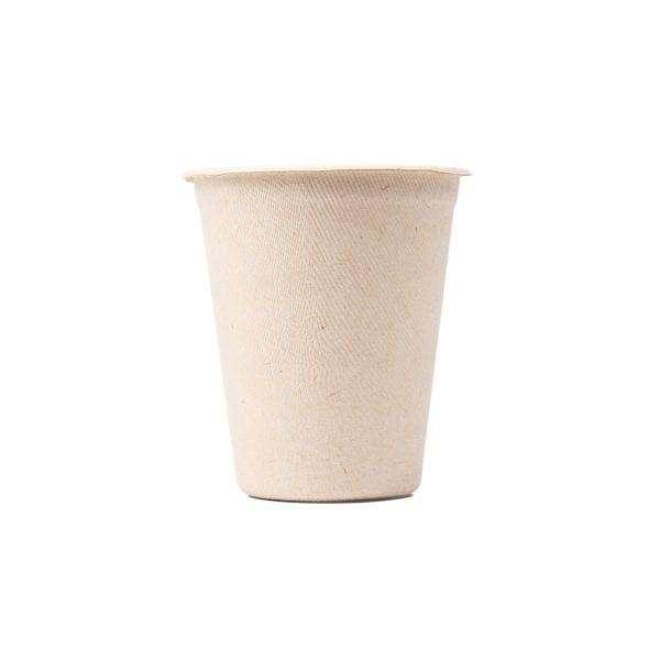 Biodegradable Sugarcane Cup